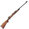 Remington 700 BDL Blued/Walnut Bolt Action Rifle – 243 Winchester – 22in